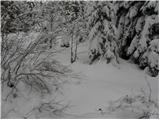 Na kopiš - Planina Zgornja Konjščica